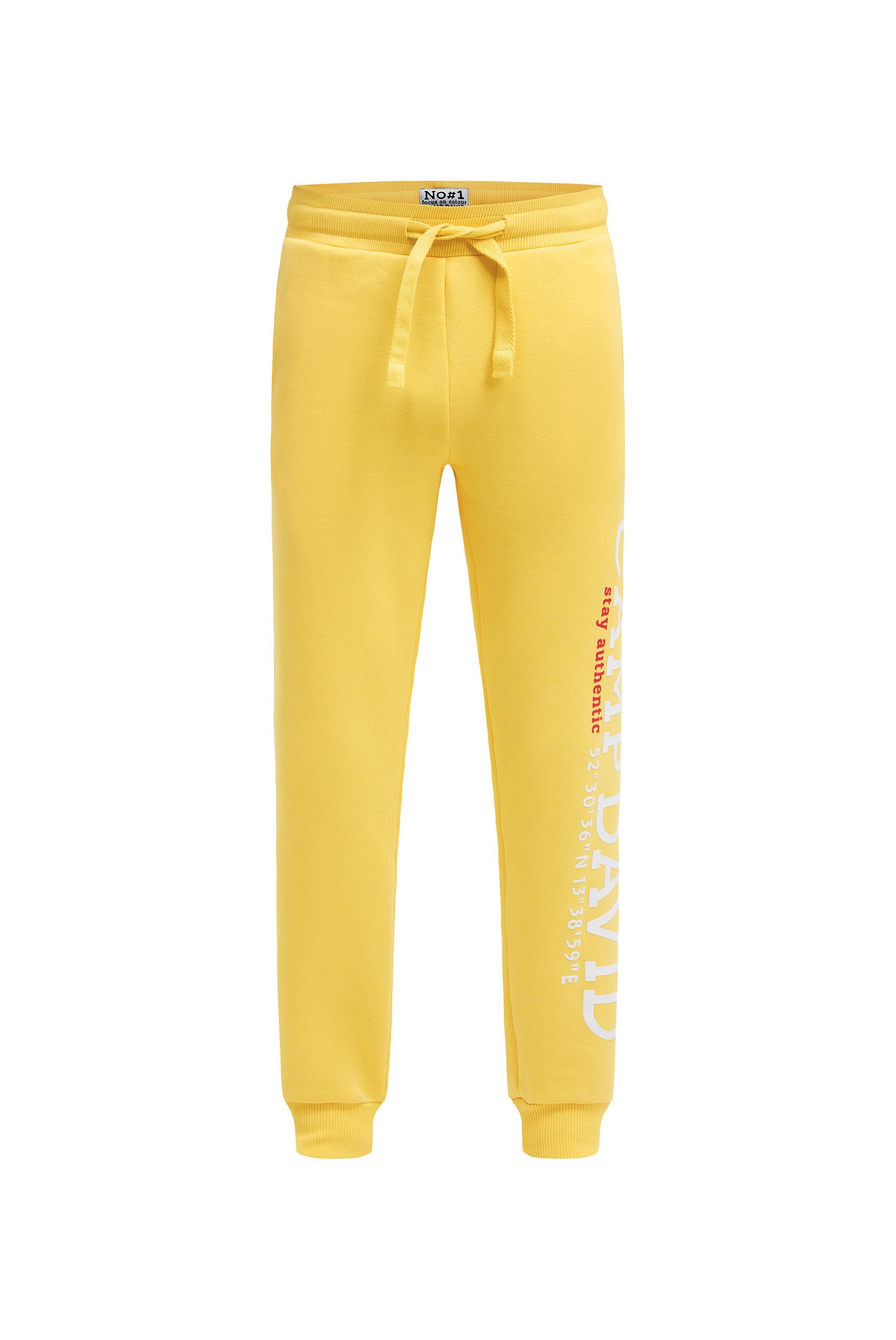 Spodnie dresowe z gumowym nadrukiem logo