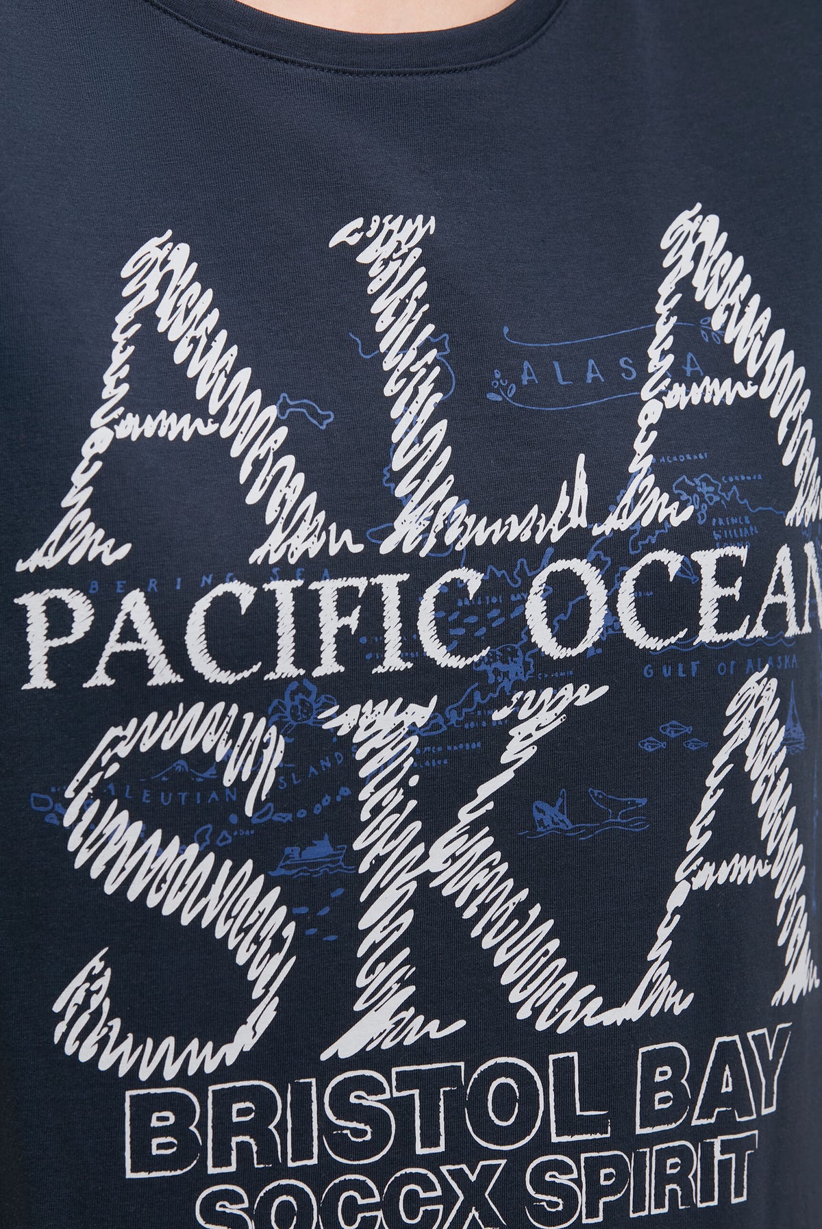 T-Shirt mit Alaska Print blue navy - 6