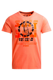 T-shirt z okrągłym dekoltem i grafiką