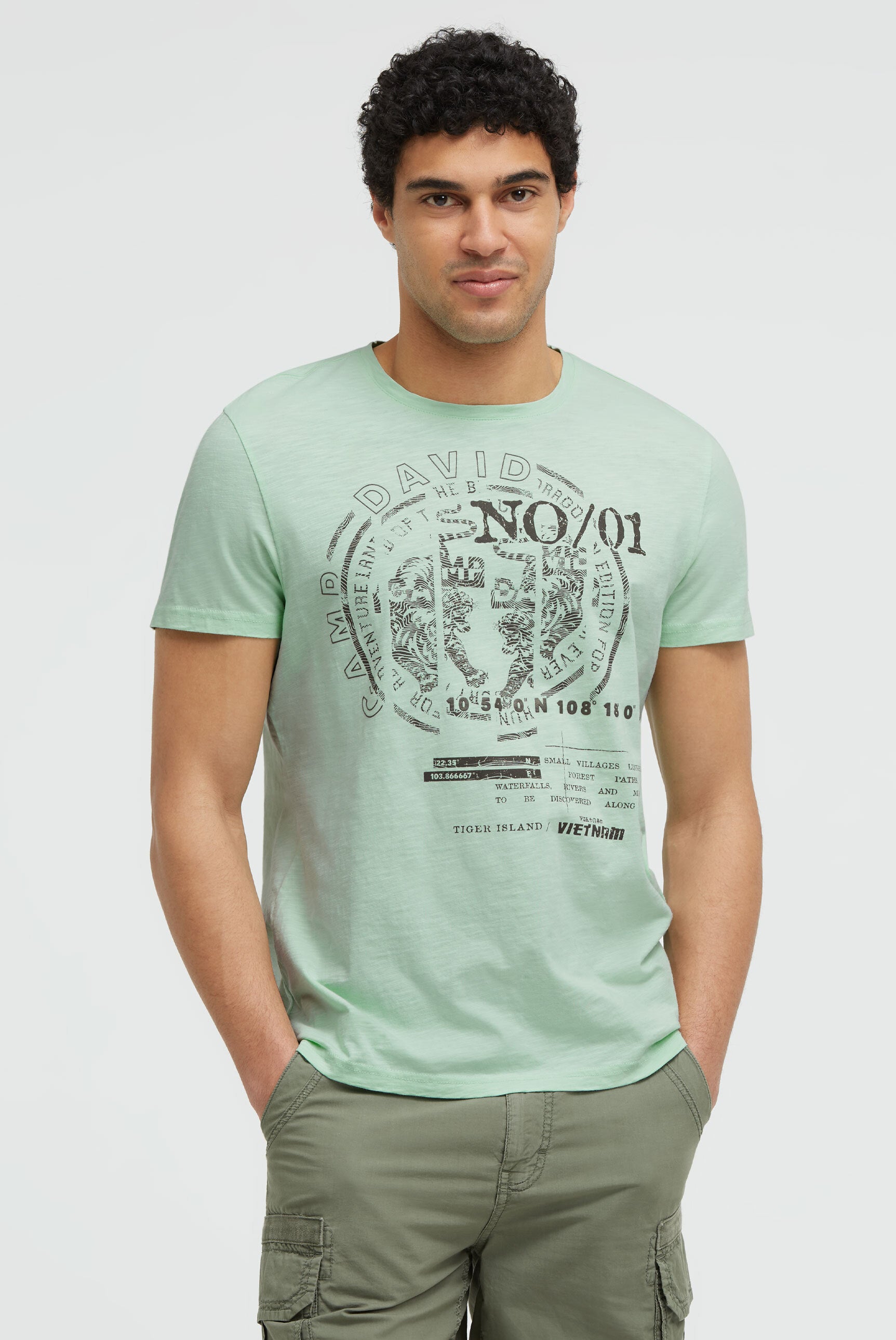 T-Shirt Rundhals mit Frontprint light mint