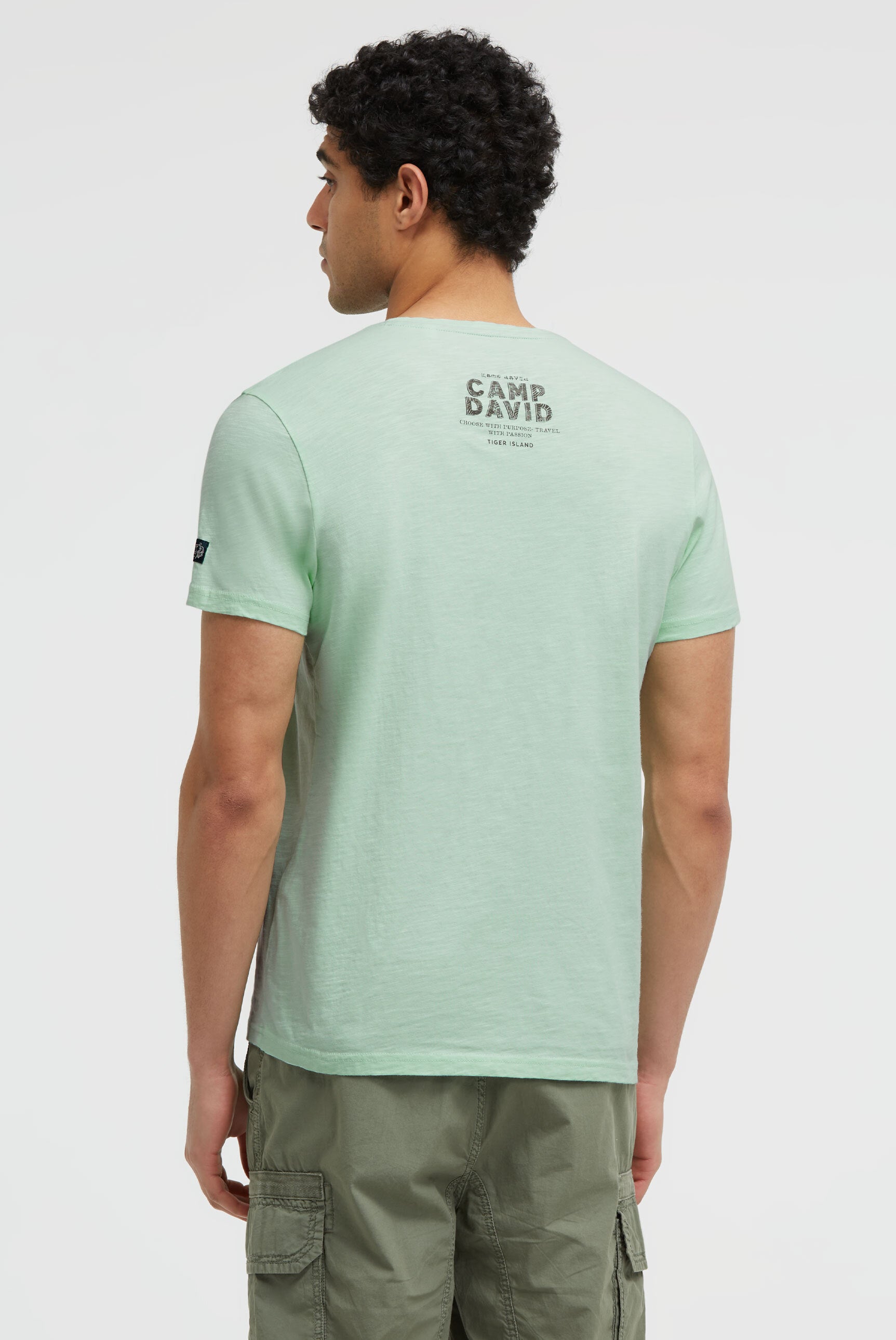 T-Shirt Rundhals mit Frontprint light mint