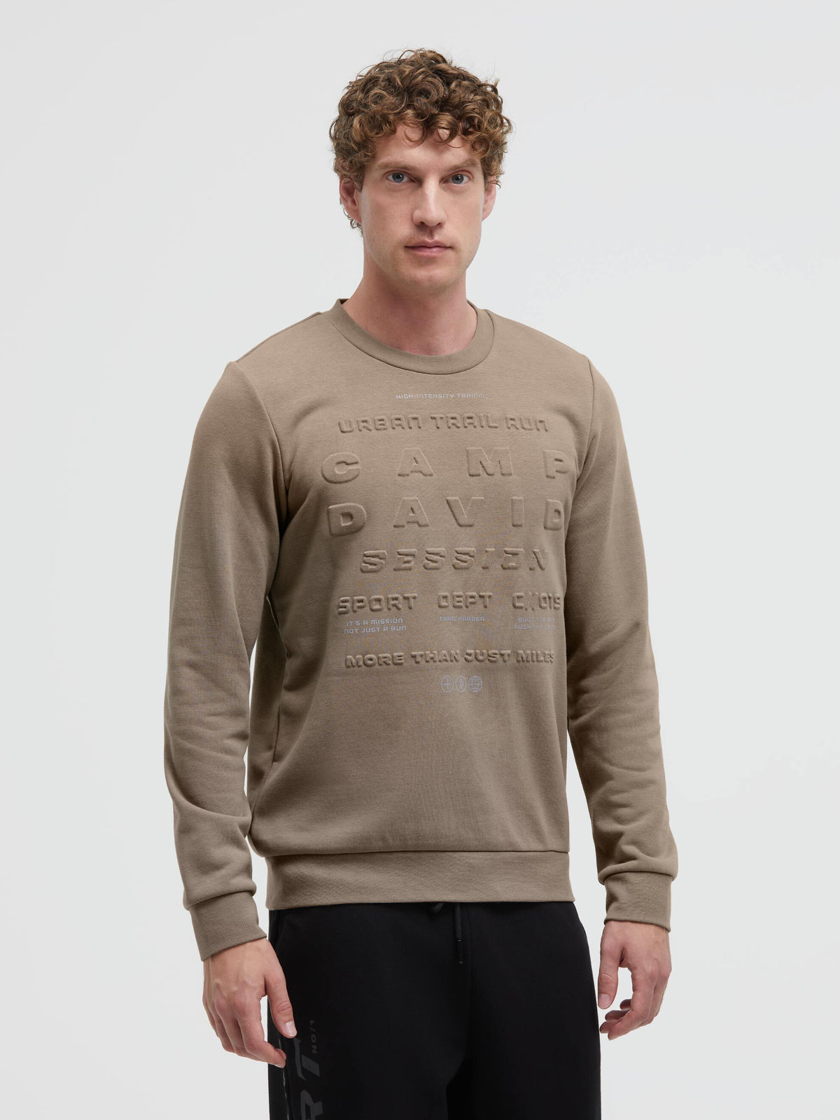 Sweatshirt mit Prägedruck shadow beige - 2